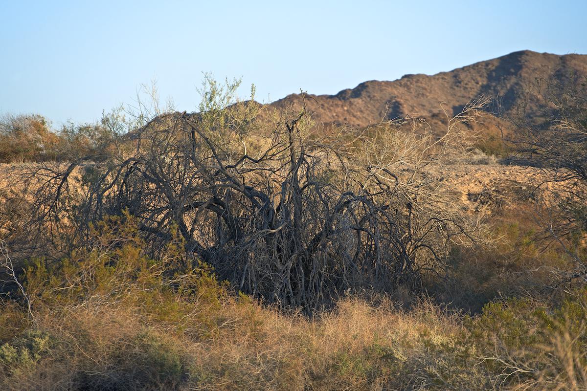 Lake martinez az 2012 neal rantoul 008