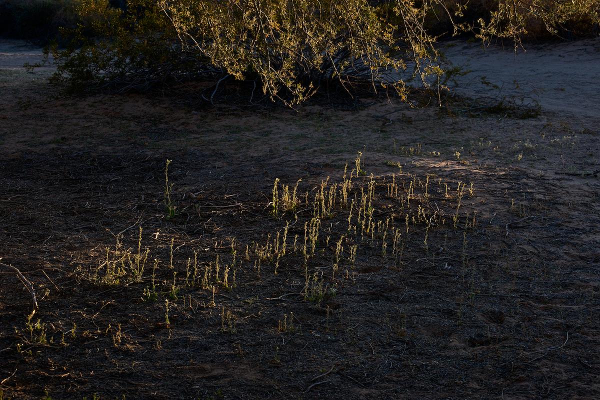 Lake martinez az 2012 neal rantoul 011