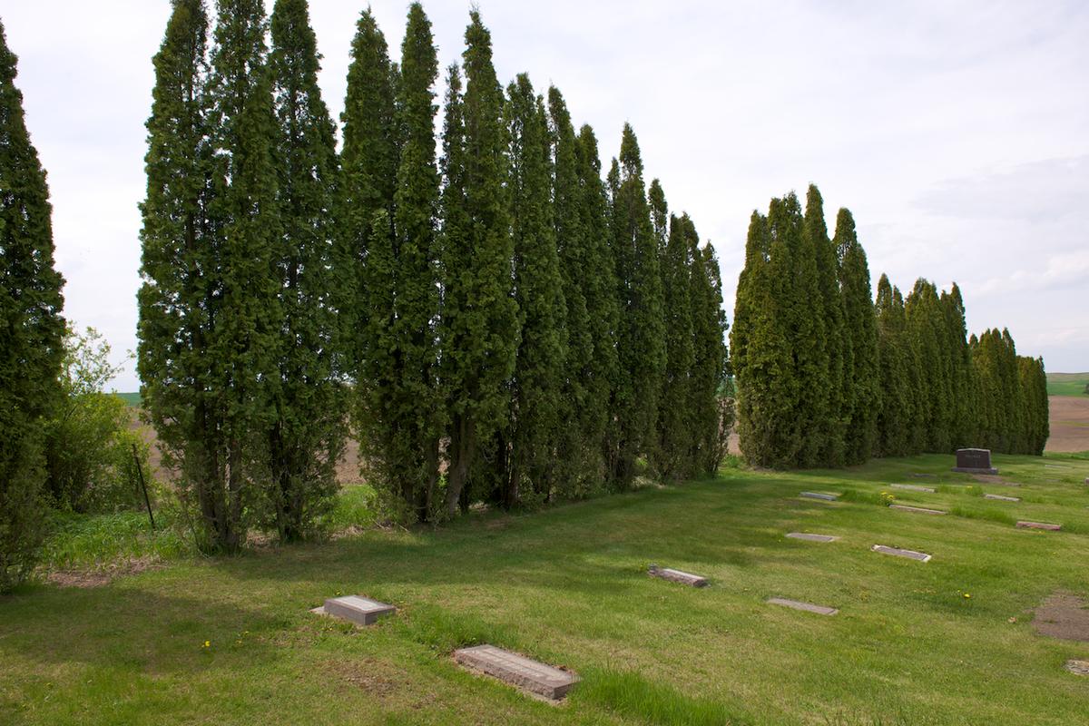 Goldenrod cemetery 2011 neal rantoul 007