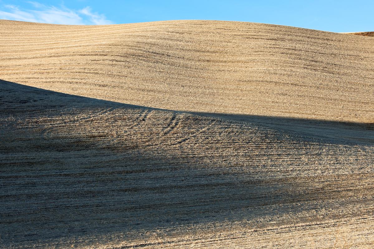 Wheat 2010 neal rantoul 012