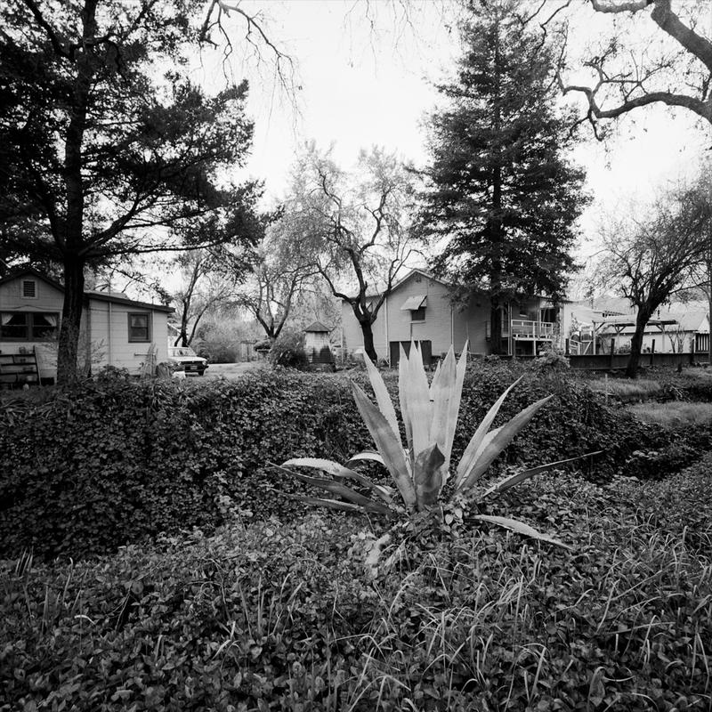 Yountville ca 1981 neal rantoul 009